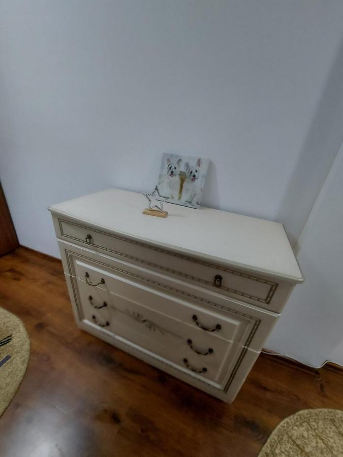 Appartement Bucovina Confort Apartament à Suceava Extérieur photo